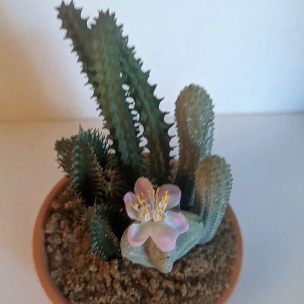 NEW Ashland Faux Multi Cactus Plant Floral Succulent Michael's Desert Summer NWT